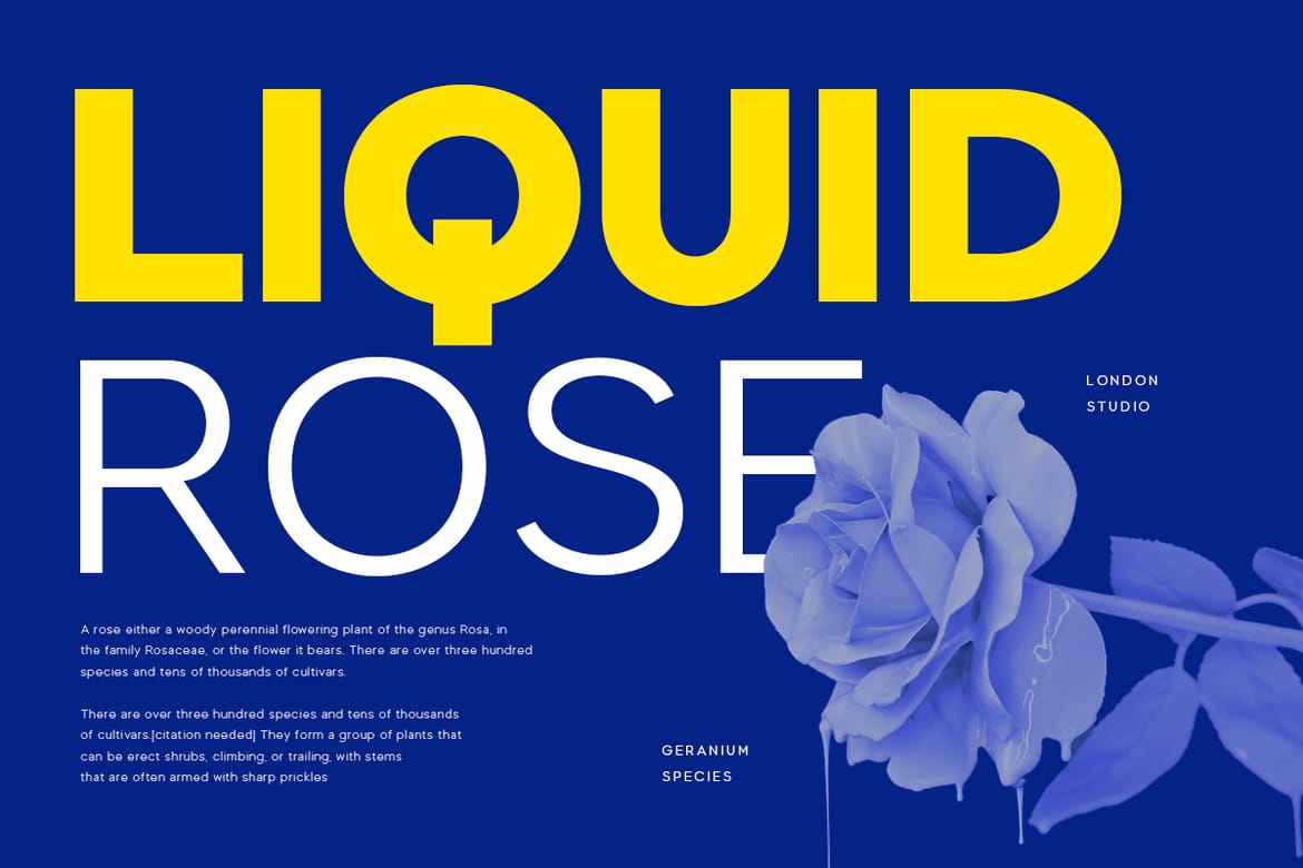 Madani - Modern Sans Serif Family