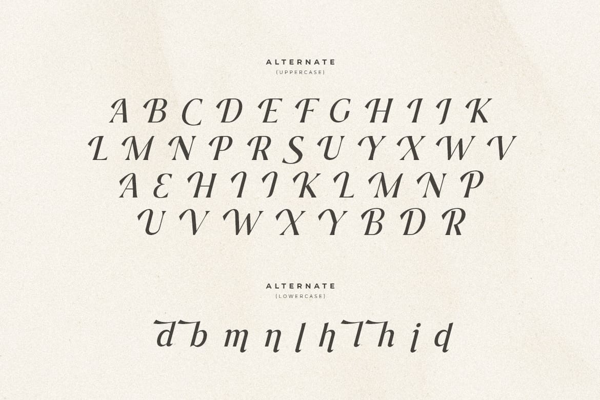 Journey – Aesthetic Serif Font