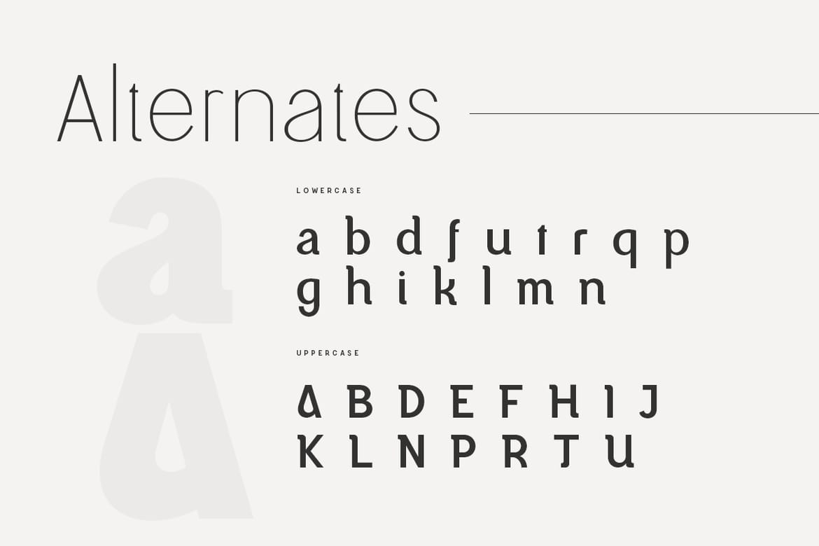 Magnetic – Modern Sans Serif Font
