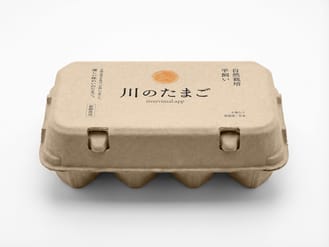 Egg Packaging Free Mockup