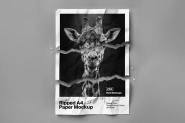 Hand-Held Product & Device Mockup Bundle – 12 PSD Scenes