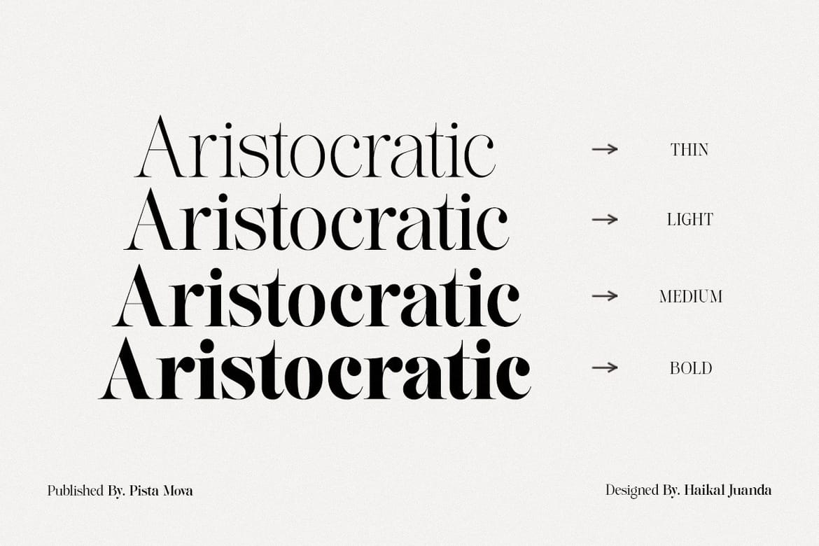 Lifestyle Icons | 8 Font Files