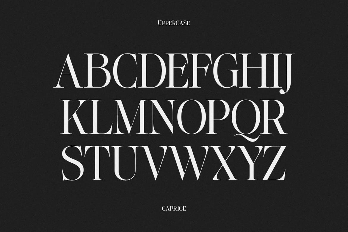 Lifestyle Icons | 8 Font Files