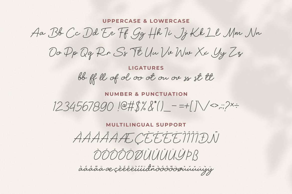 Soul Of You Modern Script Font