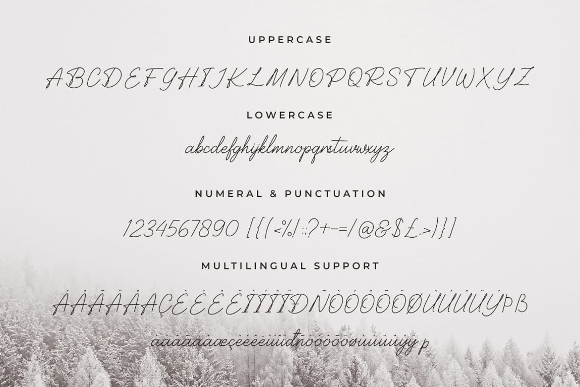 Balcony Modern Signature Font