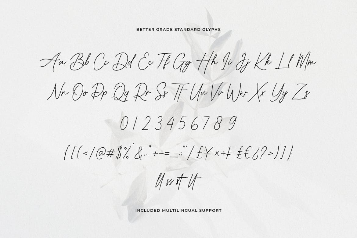 Better Grade Modern Signature Font