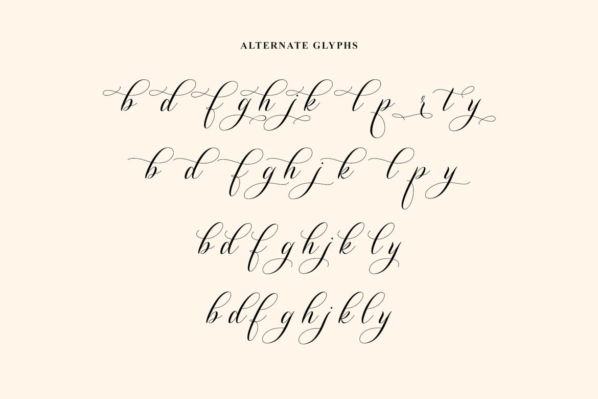 Shutterday Stylish Calligraphy Font