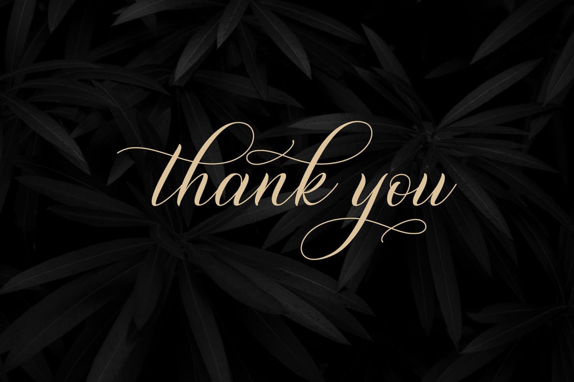 Shutterday Stylish Calligraphy Font