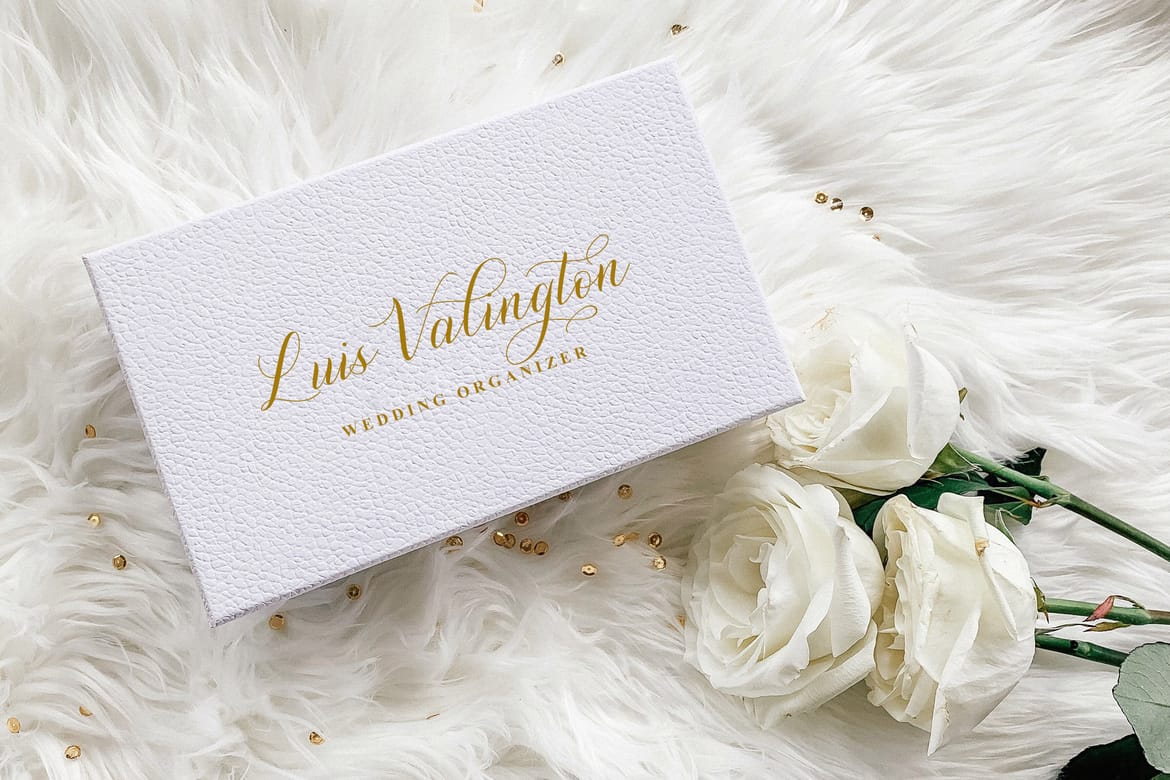 Shutterday Stylish Calligraphy Font