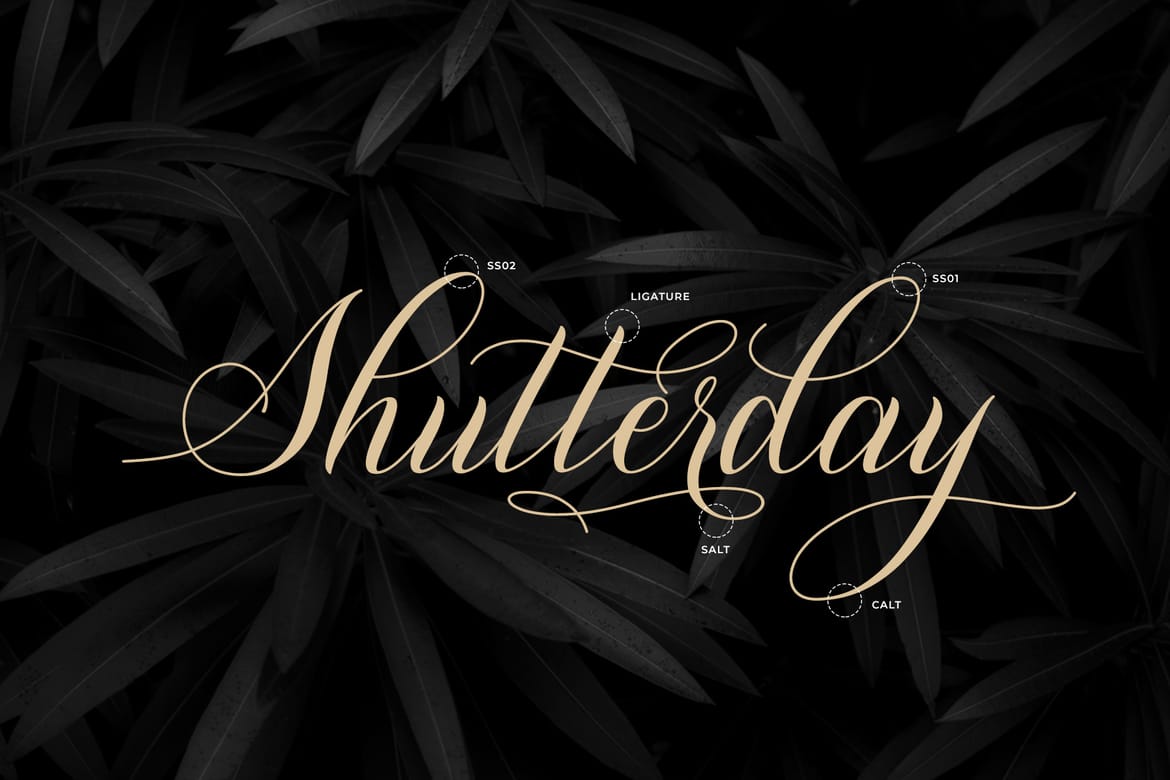 Shutterday Stylish Calligraphy Font