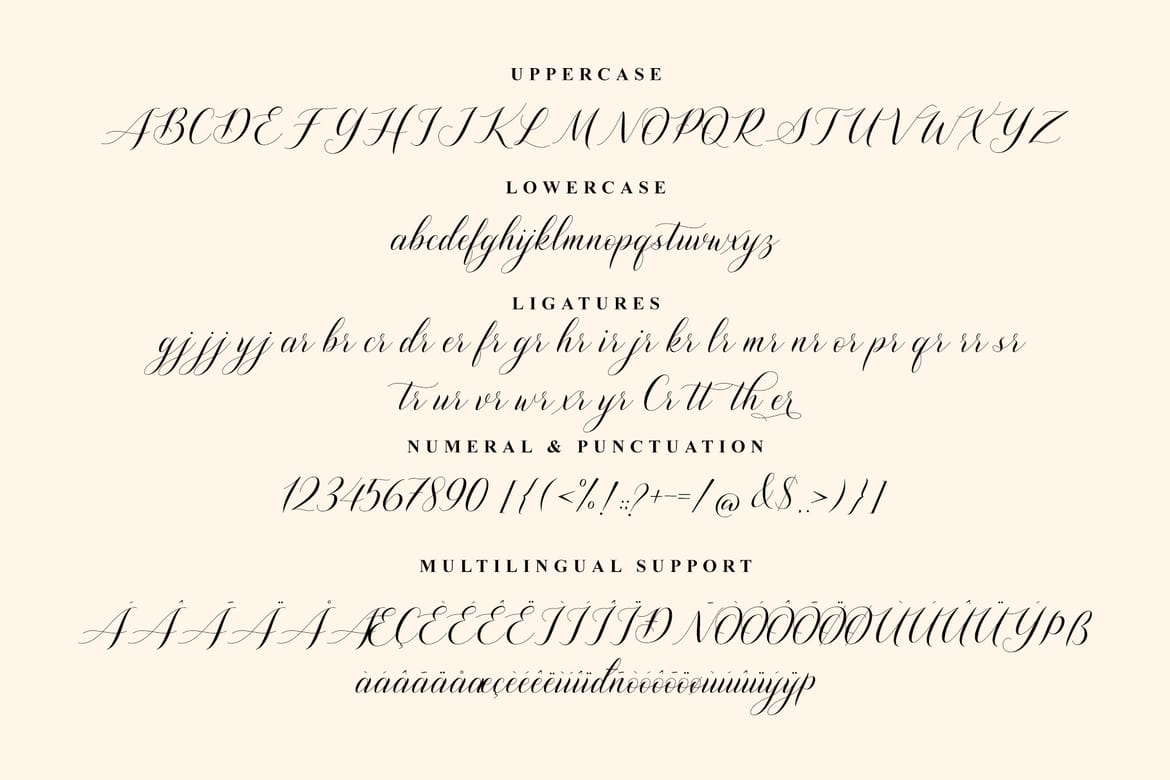 Shutterday Stylish Calligraphy Font