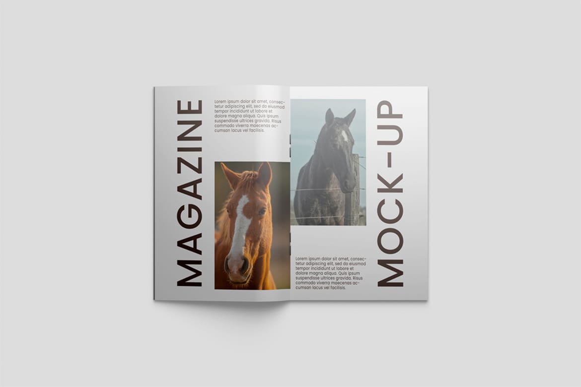 Magazine Mockup