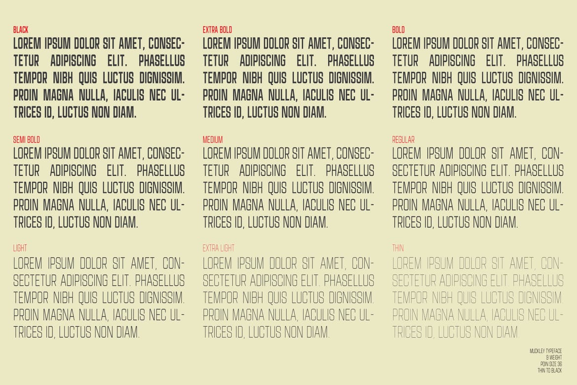 Muckley A Condensed Display font