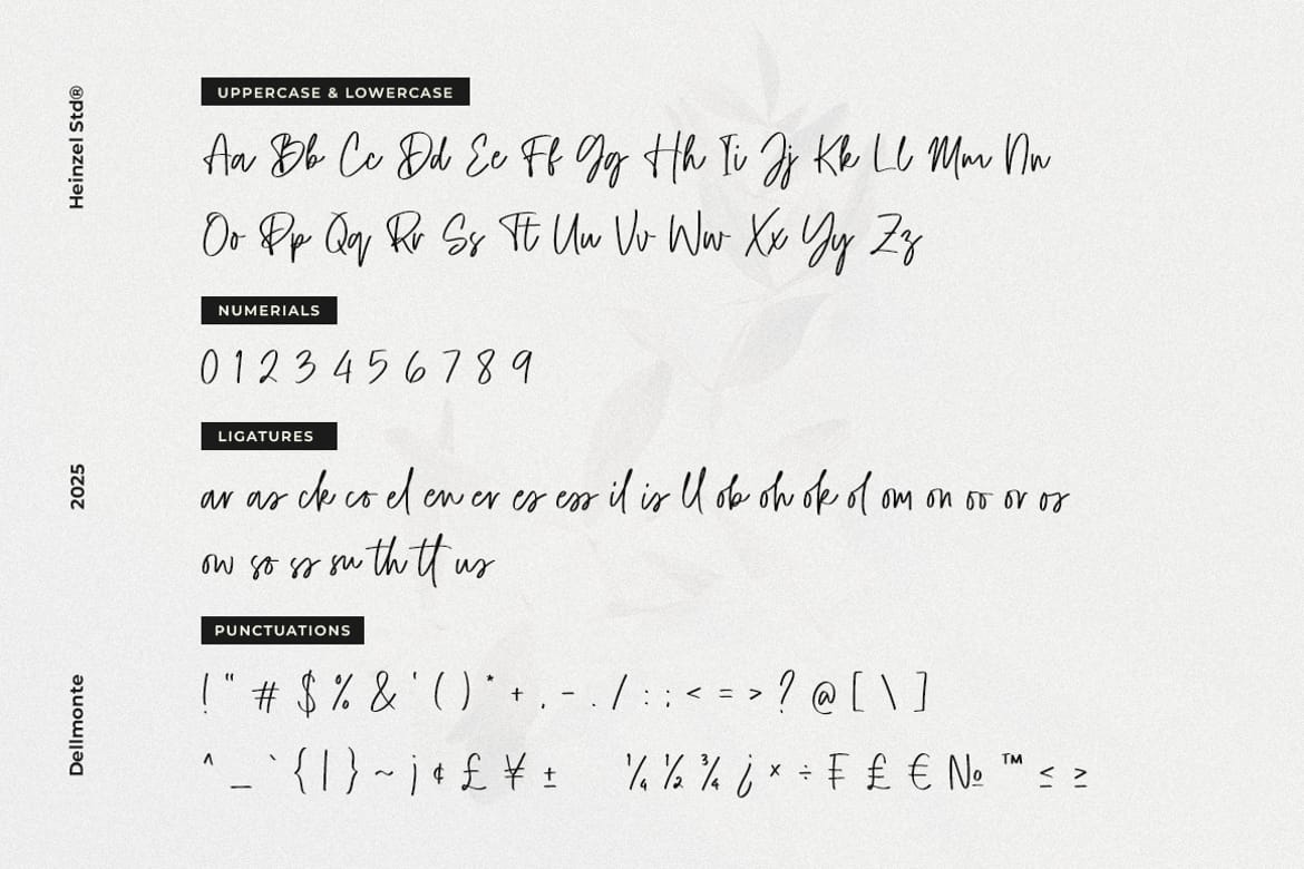 Dellmonte Casual Script Font
