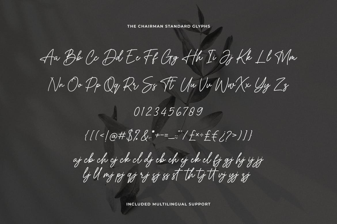 The Chairman Signature Script Font