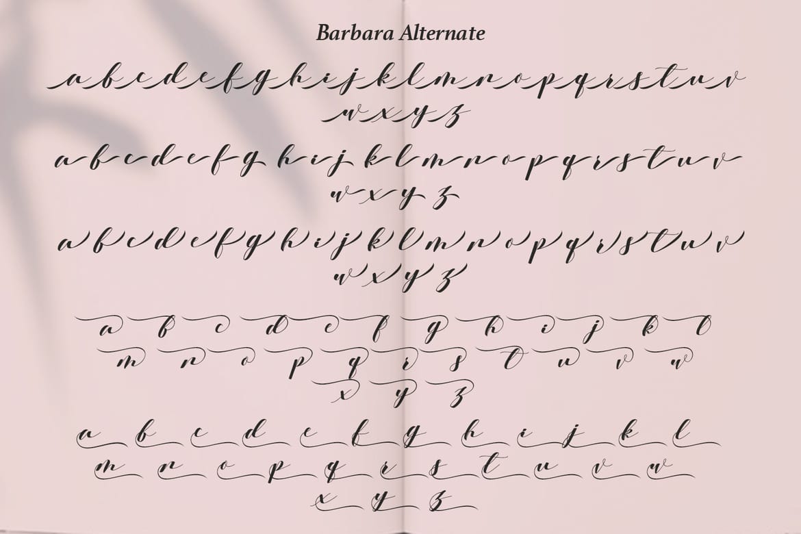 Barbara - A Classy Script Font
