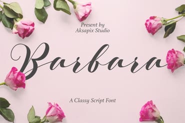 Barbara - A Classy Script Font