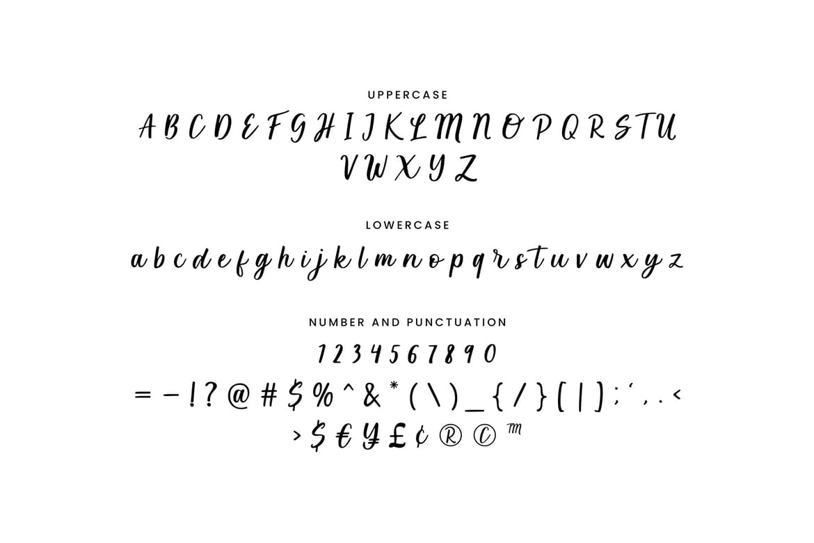 Lilybulle - Simple Handwriting Stylish Script