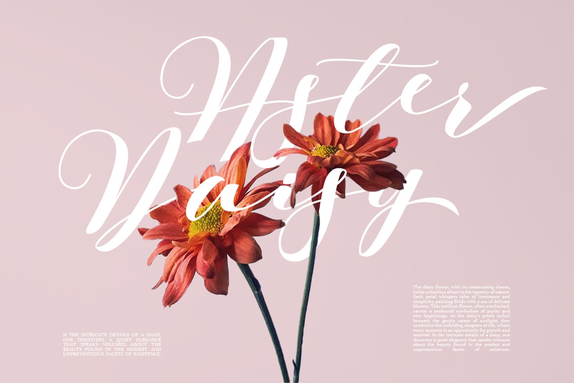 Barbara - A Classy Script Font