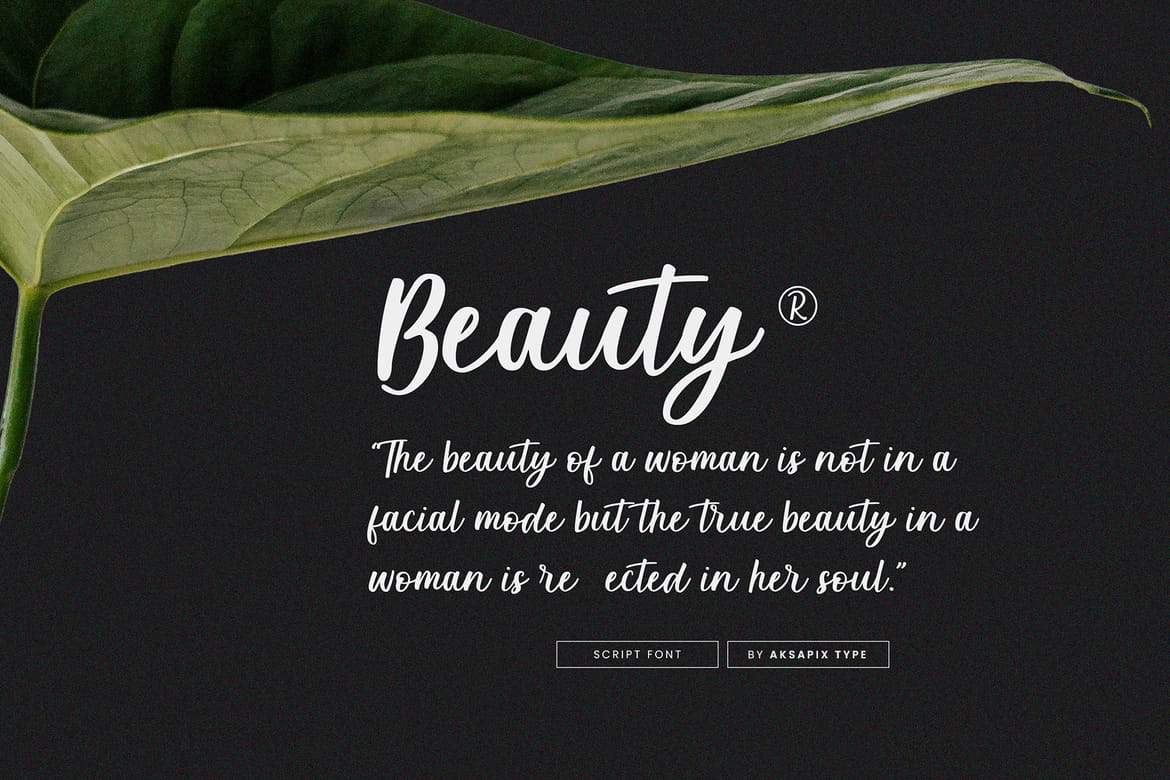Lilybulle - Simple Handwriting Stylish Script