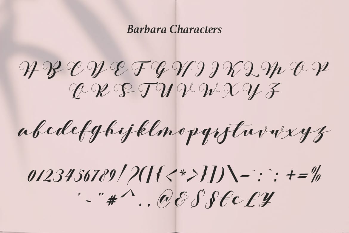 Barbara - A Classy Script Font
