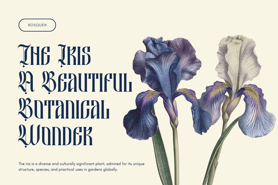 Besquen Blackletter Font