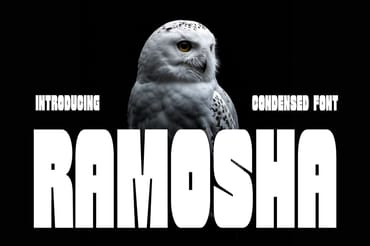 Ramosha Bold Condensed Font