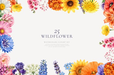 Wildflower Watercolor Clipart Bundle