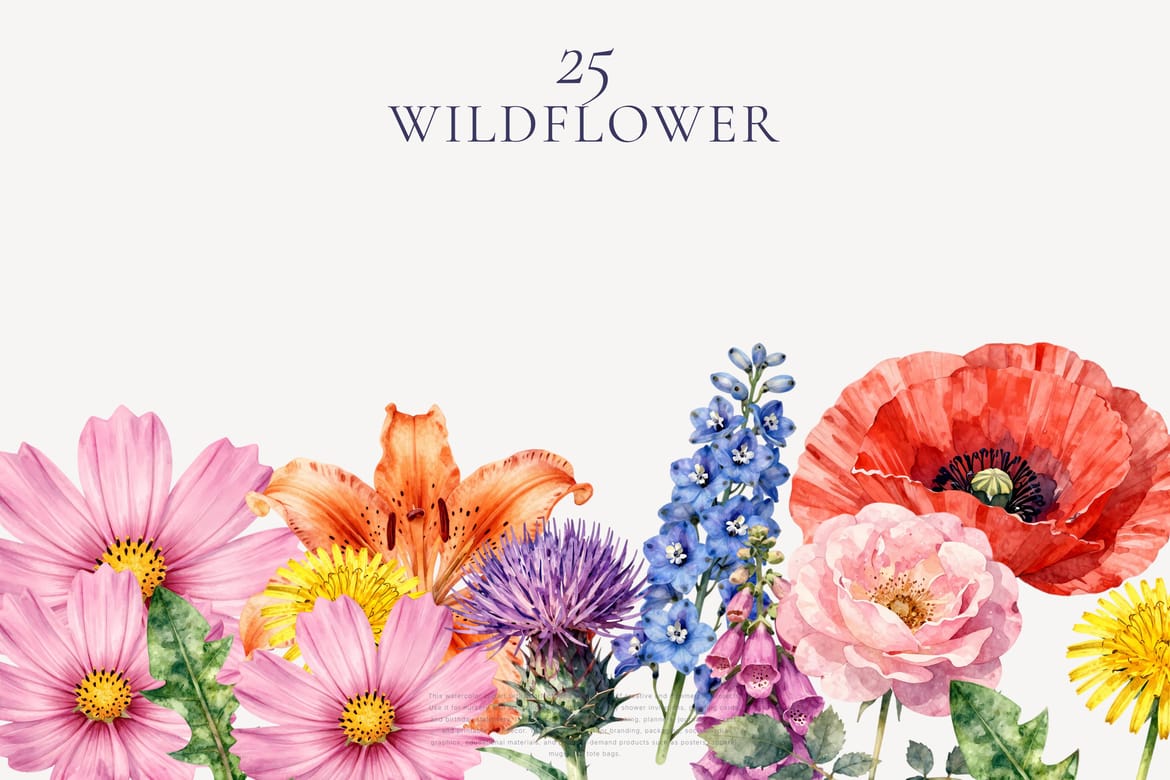 Wildflower Watercolor Clipart Bundle