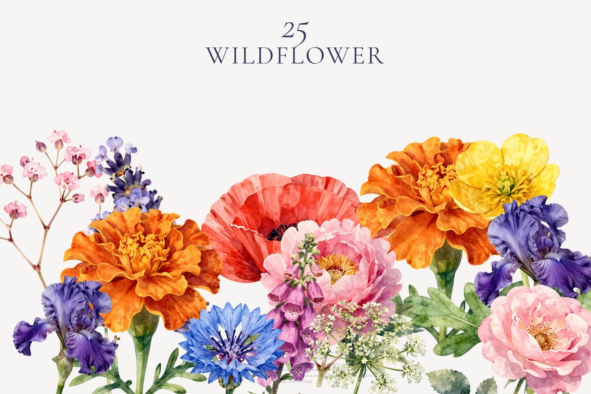 Wildflower Watercolor Clipart Bundle