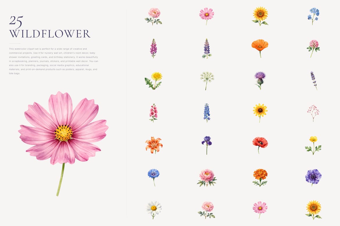 Wildflower Watercolor Clipart Bundle