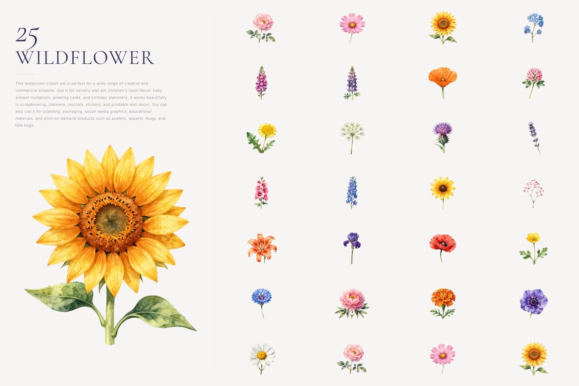 Wildflower Watercolor Clipart Bundle