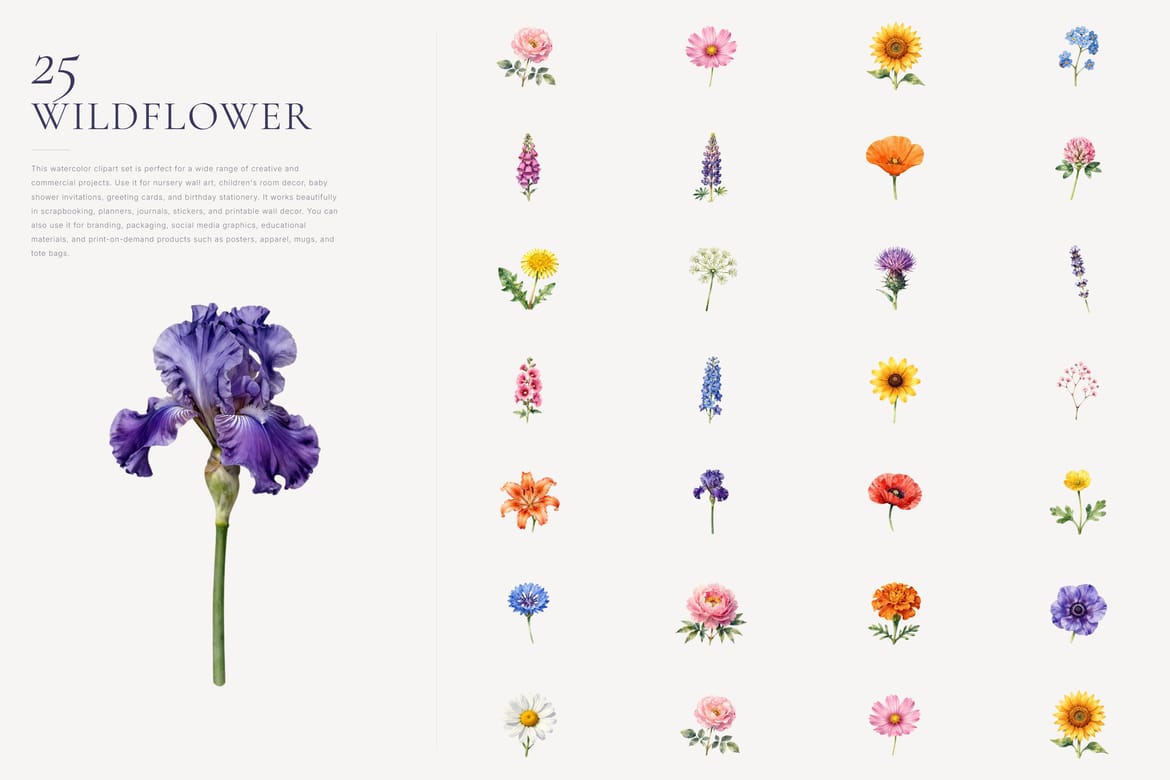 Wildflower Watercolor Clipart Bundle