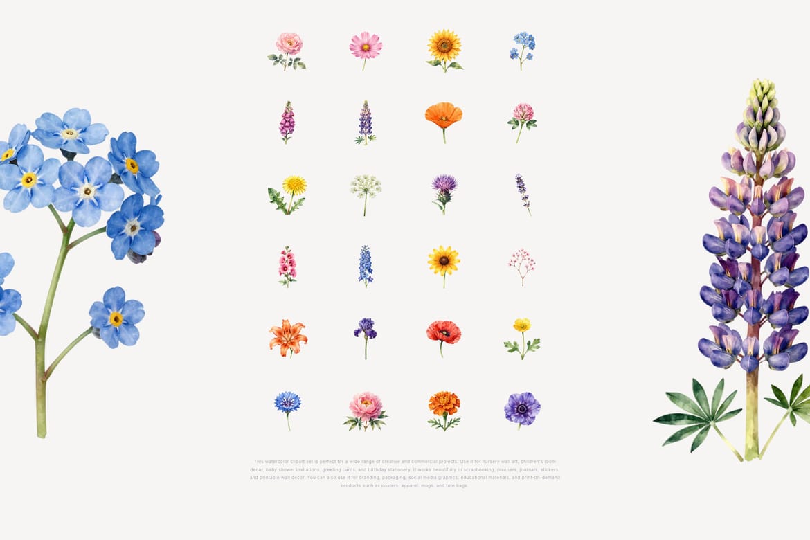 Wildflower Watercolor Clipart Bundle